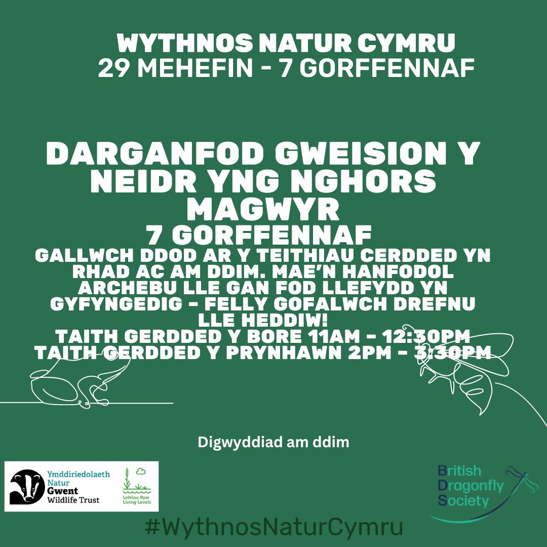 Darganfod Gweision y Neidr yng Nghors Magwyr